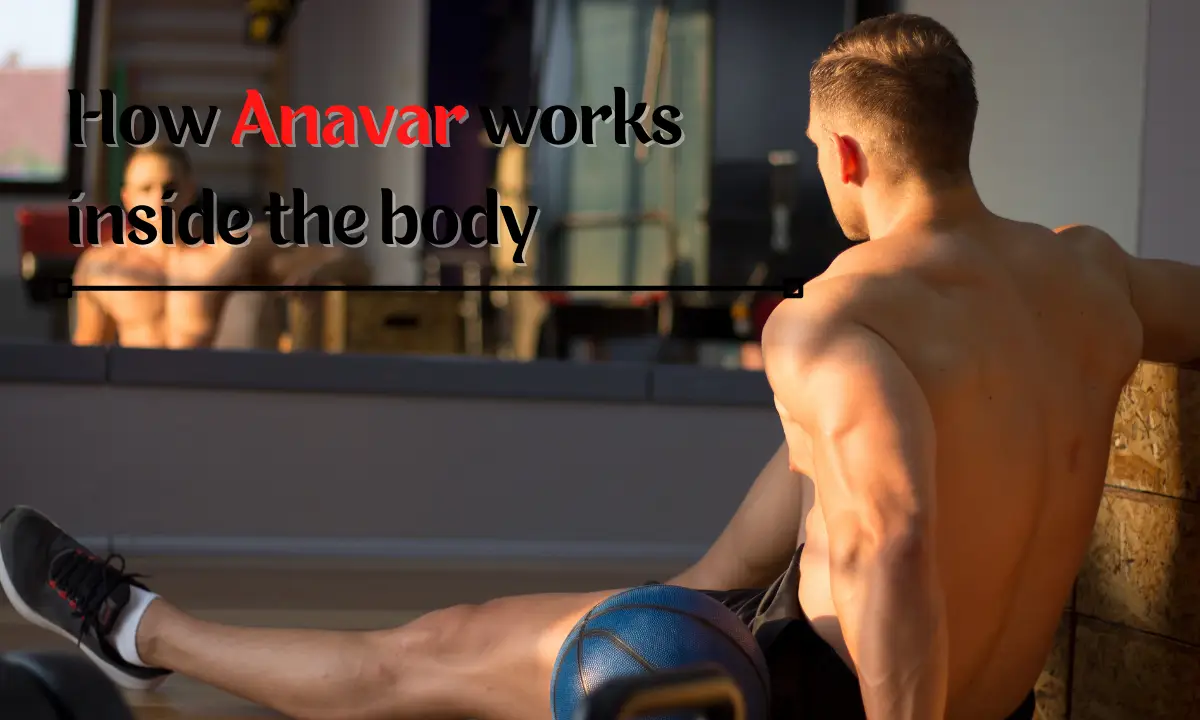 How Anavar works inside the body